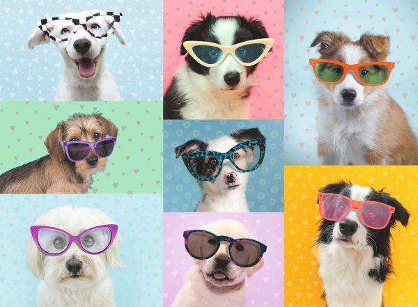 Puzzel (XXL) 150stuks - Grappige honden - Afbeelding 2