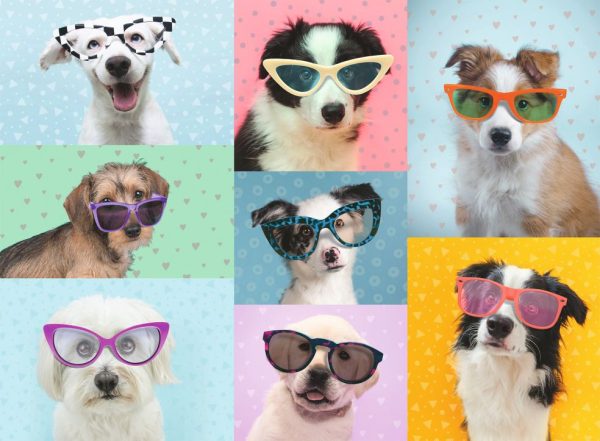 Puzzel (XXL) 150stuks - Grappige honden - Afbeelding 3