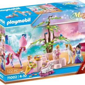 PM Magic – Eenhoornkoets met Pegasus 71002