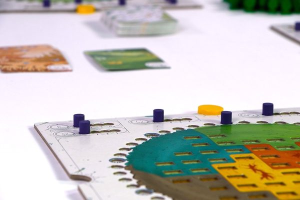 Evergreen (bordspel) - Afbeelding 5