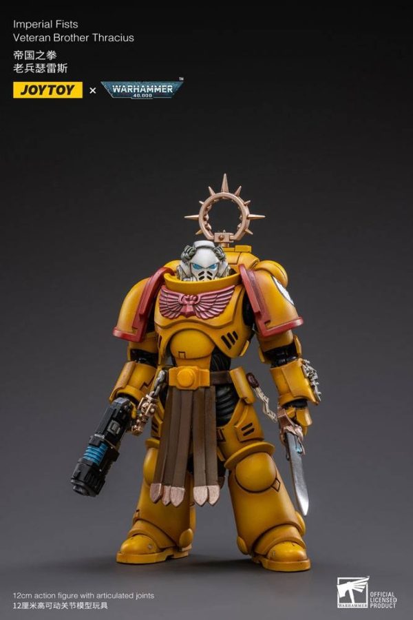 Warhammer 40K - Imperial Fists Veteran Brother Thracius (12cm) - Afbeelding 3
