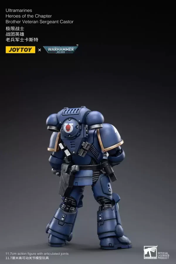 Warhammer 40K - Brother Veteran Sergeant Castor (12cm) - Afbeelding 3