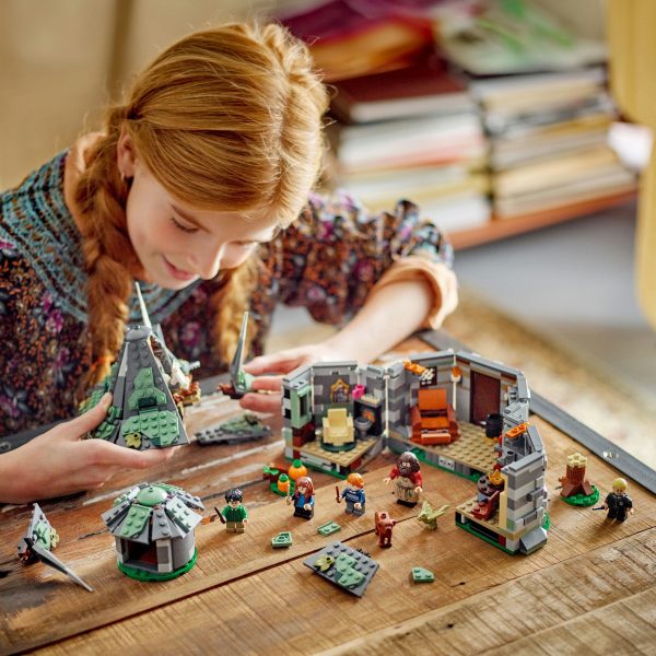 LEGO Harry Potter Hagrids huisje onverwacht bezoek - 76428 - Afbeelding 2