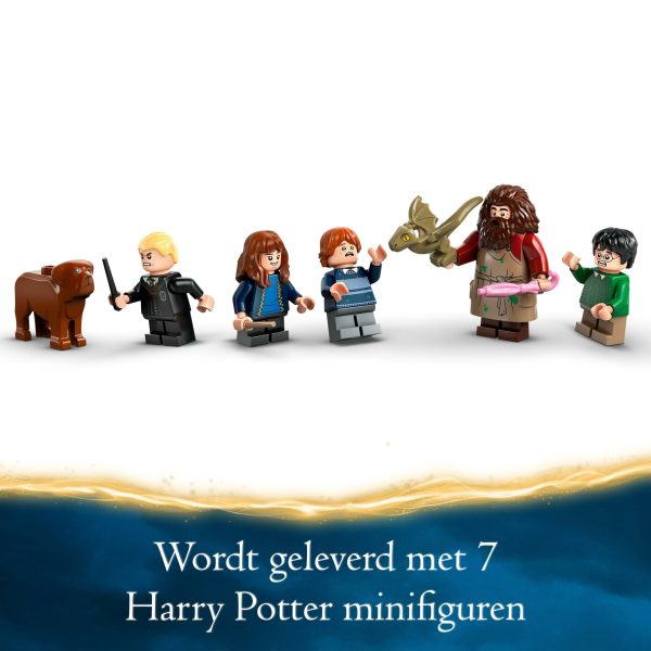 LEGO Harry Potter Hagrids huisje onverwacht bezoek - 76428 - Afbeelding 8