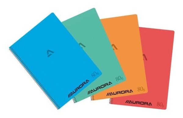 Spiraal snitboek PP/A4 (210x295mm) geruit 4x8mm + rode marge - 120blz - 1 e