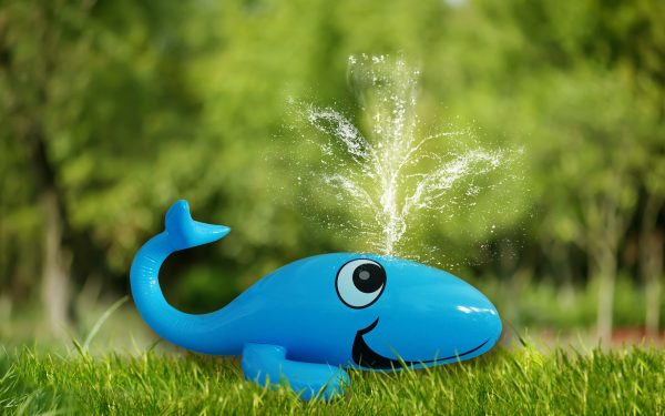 Whale Sprinkler - 110x45cm - Afbeelding 2