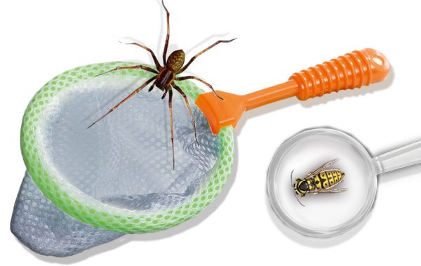 SES Creative Explore - Insecten explorer - Afbeelding 7