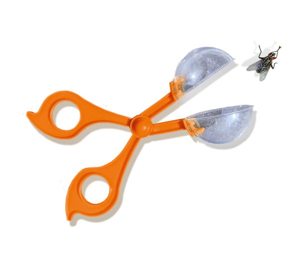 SES Creative Explore - Insecten explorer - Afbeelding 8
