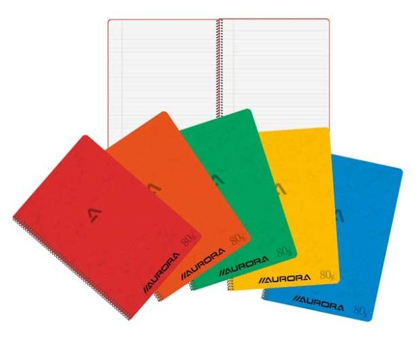Spiraal snitboek A4 (210x295mm) gelijnd + rode marge - 120blz