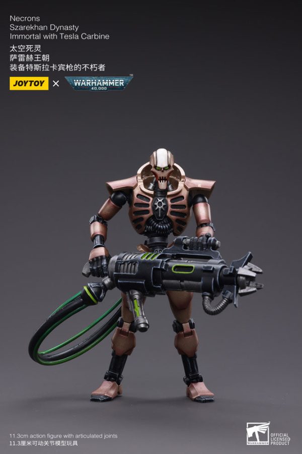 Warhammer 40K - Dynasty Immortal With Tesla Carbine (11cm) - Afbeelding 3