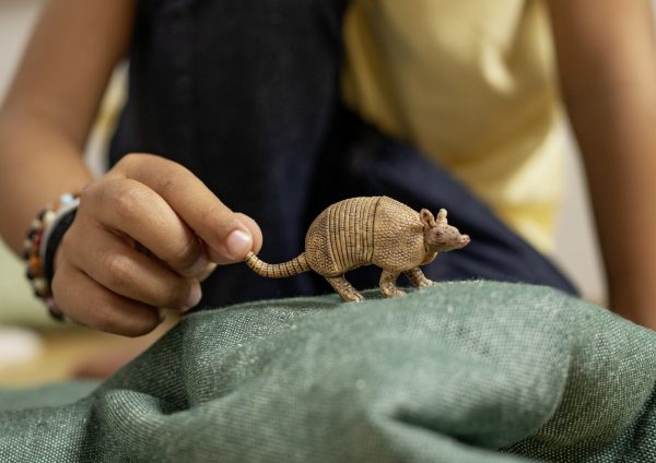 Schleich Wild Life - Gordeldier - Afbeelding 2