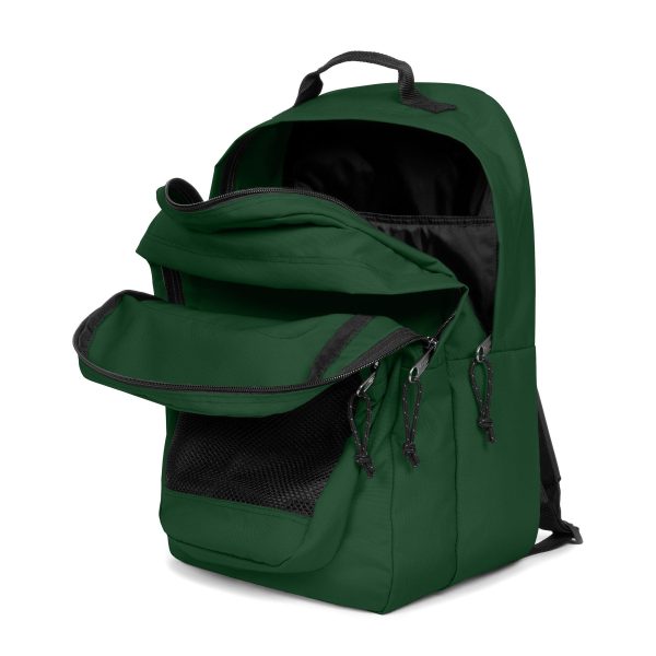 Eastpak Rugzak Study Buddy - Bristle Green - Afbeelding 3