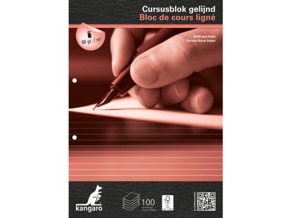 Cursusblok A4/2gaten gelijnd 8mm - 100vel