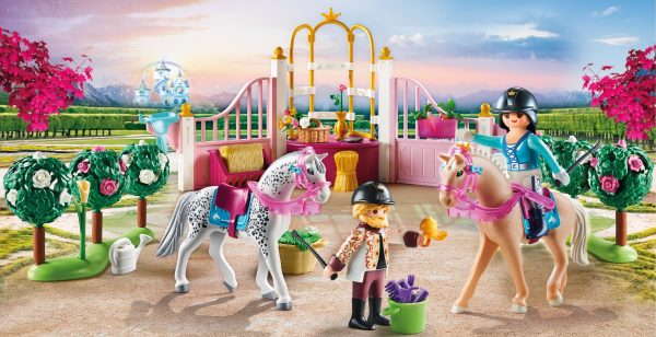 PM Princess - Paardrijlessen 70450 - Afbeelding 2