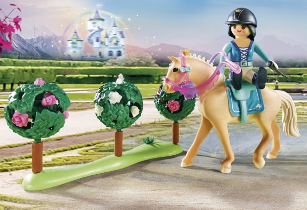PM Princess - Paardrijlessen 70450 - Afbeelding 3