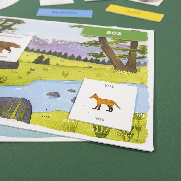 Ik leer ontdekken - Dieren - Afbeelding 8