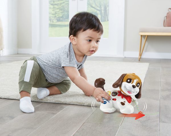 VTech Baby - Mijn eerste puppyvriendje - Afbeelding 3