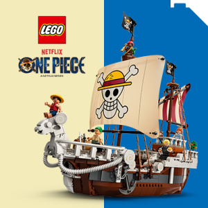 LEGO® One Piece