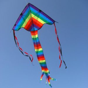 DELTA 812  200*97 VLIEGER