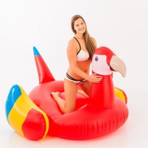 Giant Parrot Float Didak – 195x180x115cm