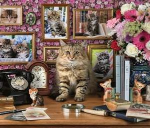 Puzzel (1000stuks) – Mijn katjes