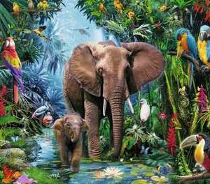 Puzzel (XXL) 150stuks – Jungleolifanten