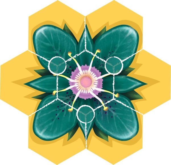 Beez (bordspel) - Afbeelding 5