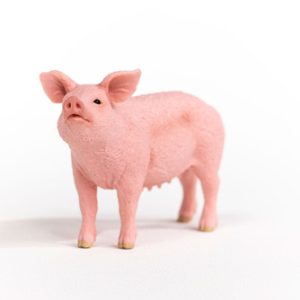 Schleich Farm World – Varken