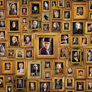 Puzzel Impossible (1000stuks) – Harry Potter