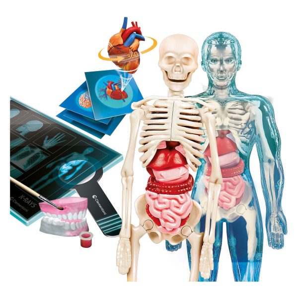 Wetenschap & Spel - SUPER Anatomie - Afbeelding 3