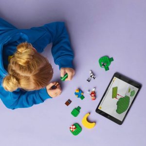 LEGO Animal Crossing – Sterrenkijken met Celeste – 77053