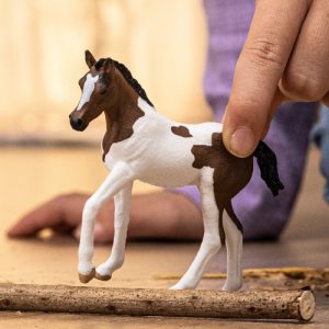 Schleich – Paint Horse veulen