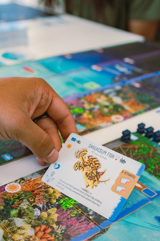 999 Games - Finspan - Afbeelding 3