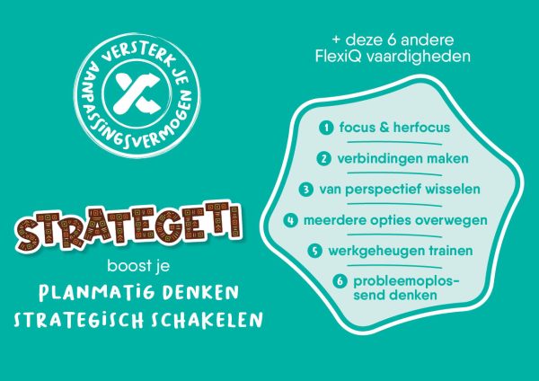 Strategeti FlexIQ - Afbeelding 3
