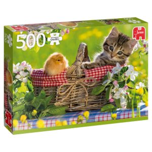 Premium Collection Klaar voor de Picknick 500 stukjes