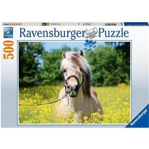 Puzzel 500 st paard tussen de bloemen