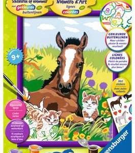 Schilderen op nummer – Paard met kittens