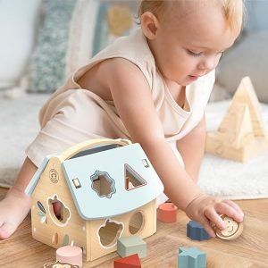 Speedy Monkey – Huis (vormsorteerder) met 8 blokken