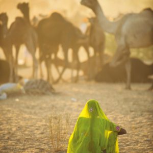 Clementoni Puzzel National Geographic Sari 1000st