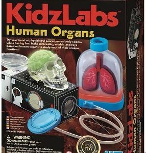 4M KidzLabs – Menselijke organen
