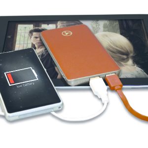Powerbank Nachtwacht bruin