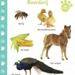 Allereerste stapjes – Boerderij (18+ maanden)