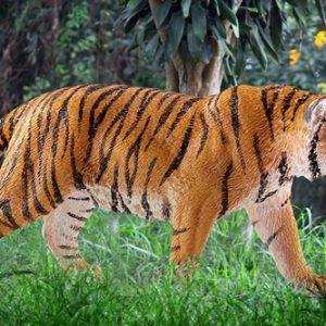 Schleich Wild Life – Bengaalse tijger