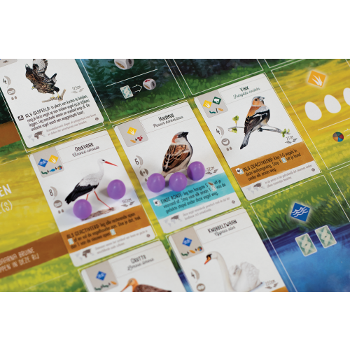 Wingspan - Europa (uitbreiding) - Afbeelding 6