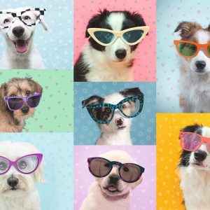 3D Puzzel (140stuks) – Lamborghini Huracán EVO – Groen