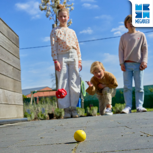 BeestenBoule - Mijn eerste petanque spel met beestige ballen! - Afbeelding 6