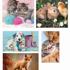 Clementoni Puzzel – 10 in 1 Animal Friends