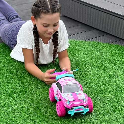 R/C Exost Pixie II Buggy - Afbeelding 6