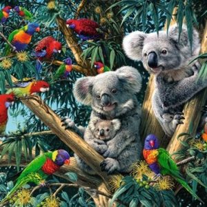 Puzzel (500stuks) – Koala’s in de boom