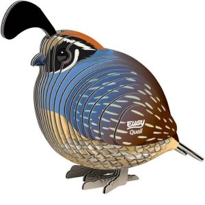 Eugy 3D Model – Vogel – Kwartel